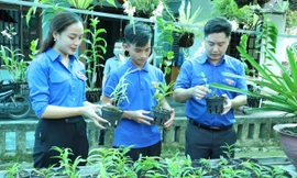 Lô Văn Bình (đứng giữa) giới thiệu các giống lan cho anh Lê Văn Lương - Bí thư Tỉnh Đoàn Nghệ An