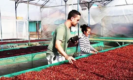 Người và cà phê Lang Biang 'bỏ bùa' chàng trai Slovakia 