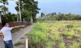 Giá đất Củ Chi, Hóc Môn ồ ạt tăng