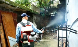 Sẽ tiêm thử nghiệm vắc xin sốt xuất huyết 