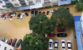 Bảo hiểm dồn lực bồi thường nạn nhân sau bão 