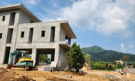 Vì sao vi phạm đất rừng Sóc Sơn kéo dài? 