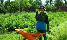 Cô gái đánh thức 'mỏ vàng xanh'