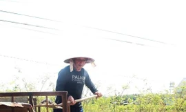 Ông Tuynh “vá đường” 