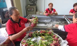 Xuất khẩu nông sản sang Trung Quốc: Chuẩn bị cho 'cuộc chơi' mới
