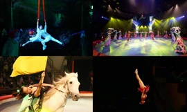 Truyền lửa khát vọng cống hiến - Bài 17: Hành trình của cô gái 'vàng' làng xiếc 