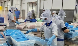 Cước phí vận tải biển tăng cao: Doanh nghiệp chuyển hướng thị trường 