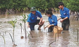  Lan tỏa sức trẻ Đồng bằng 