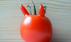 Rau, củ hình thù cực 'sốc'