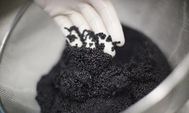 Đại gia Sài Gòn chi tiền tỷ mở tiệc... trứng cá tầm