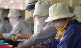 Lao động nữ được nghỉ thai sản 6 tháng, Ảnh: Hồng Vĩnh