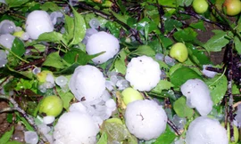 Trận mưa đá thứ tư tấn công Lào Cai