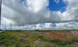 Nhiều ha đất lúa đã bị doanh nghiệp ngang nhiên san lấp dù chưa có giấy phép xây dựng, chưa chuyển đổi mục đích sử dụng đất từ chính quyền tỉnh Quảng Ngãi.