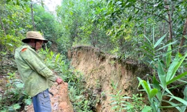 Thấp thỏm lo sạt lở dưới chân núi Cà Mon