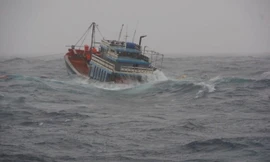 Tàu cá bị phá nước chìm, 11 ngư dân may mắn được cứu