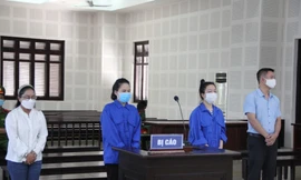 Lĩnh án tù vì 'gắn mác' chuyên gia cho nhóm người Trung Quốc nhập cảnh trái phép 