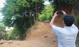 Rừng Hải Vân bị doanh nghiệp tự ý 'cày xới' để mở đường