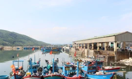 Cửa biển bồi lấp, hàng trăm tàu cá Quảng Ngãi phải 'ly hương'