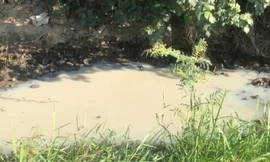 Nước kênh ở Quảng Ngãi trắng như sữa, hôi nồng nặc