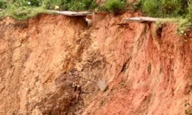 Quảng Ngãi xin hỗ trợ 220 tỷ đồng khắc phục thiệt hại mưa lũ