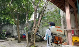 Bệnh ho gà ‘tái xuất’ ở Quảng Ngãi sau hơn 3 năm vắng bóng