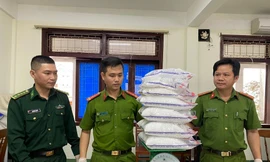 Gần 20kg tinh thể màu trắng trôi dạt vào bờ biển Quảng Ngãi là ma túy Ketamine