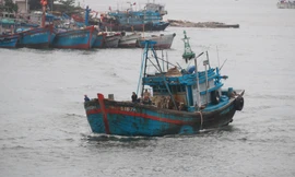 Hàng ngàn tàu cá của ngư dân miền Trung vào bờ tránh siêu bão số 9