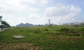 Hai lô đất tại Khu đô thị mới Hòa Hải 1-3 với tổng diện tích là 12,04 ha liên quan đến vụ việc. 