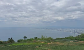 Tạm dừng hoạt động dịch vụ dù lượn sau vụ du khách rơi tử vong ở Sơn Trà