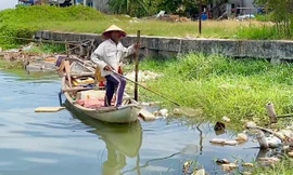 Nhức nhối nạn đánh bắt thủy sản bằng kích điện ở Quảng Ngãi