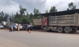 Quảng Ngãi: Phát hiện đoàn xe tải nghi sử dụng tem kiểm định giả