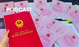 Sử dụng sổ đỏ giả để mua bán nhà đất, có thể bị phạt tù chung thân