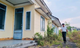 Lạ lùng giám đốc gần 70 tuổi 'không được' nghỉ hưu, lương 0 đồng