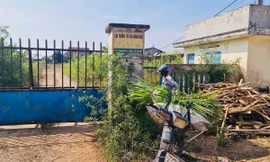 Hoang tàn nơi làm việc của giám đốc gần 70 tuổi 'không được' về hưu, lương 0 đồng