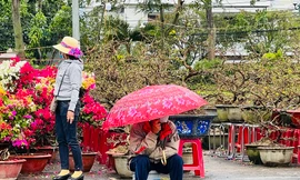 Chợ hoa lớn nhất Quảng Ngãi ế ẩm, tiểu thương co ro trong gió lạnh