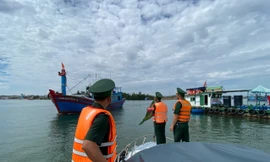 Bão Trà Mi khó lường, Quảng Ngãi còn gần 350 tàu cá trên biển