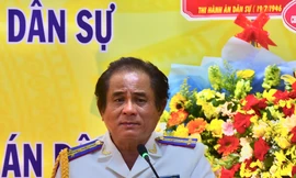 Kỷ luật khiển trách nguyên Cục trưởng Cục Thi hành án dân sự Đà Nẵng