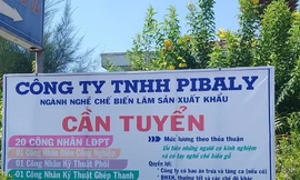 Hai doanh nghiệp bị truy thu và xử phạt hơn 4 tỷ đồng vì vi phạm thuế