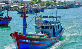 Giá dầu tăng liên tiếp, tàu cá nguy cơ phải nằm bờ