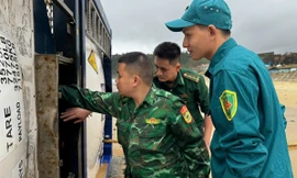 Chủ tịch Quảng Ngãi chỉ đạo xử lý 3 bồn chứa khí nguy hiểm dạt vào bờ biển