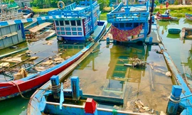 Quảng Ngãi xóa tên 244 tàu trong sổ đăng ký tàu cá quốc gia