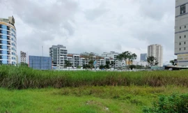 Cận cảnh đất vàng đã chuyển nhượng vẫn được kê biên, đấu giá thi hành án cho Vũ 'nhôm'
