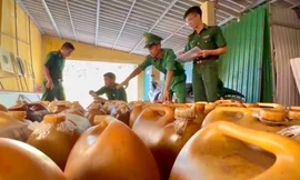 Bắt giữ hơn 1.200 lít dầu D.O không rõ nguồn gốc