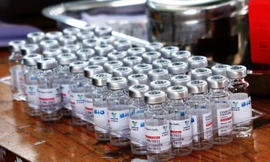 Đà Nẵng bắt đầu tiêm vắc xin Vero Cell phòng COVID-19