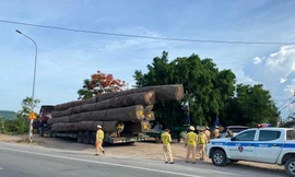 Quảng Ngãi phạt hơn 10 tỷ đồng xe chở quá khổ, quá tải