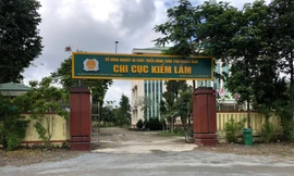 Chi cục kiểm lâm Quảng Ngãi mắc nhiều sai sót