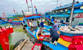 Quảng Ngãi có trên 99% tàu cá đã lắp đặt thiết bị giám sát hành trình