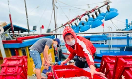 Một đêm ra khơi ngư dân Quảng Ngãi sắm được... 1 chỉ vàng