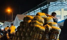 'Cửu vạn' vất vả mưu sinh trong những ngày cuối cùng của năm