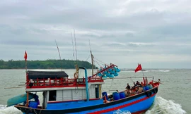 Ngư dân Quảng Ngãi tưng bừng ra quân khai thác hải sản đầu năm